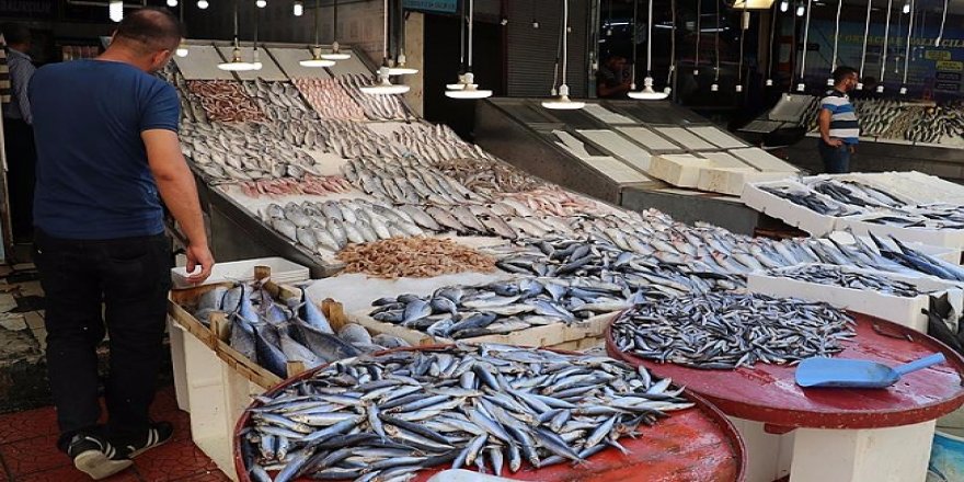 Türkiye'de balık tüketimi dünya ortalamasının altında