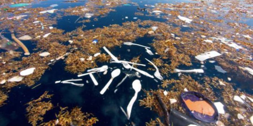 Karayipler'de plastik kirliliği inanılmaz boyutlarda