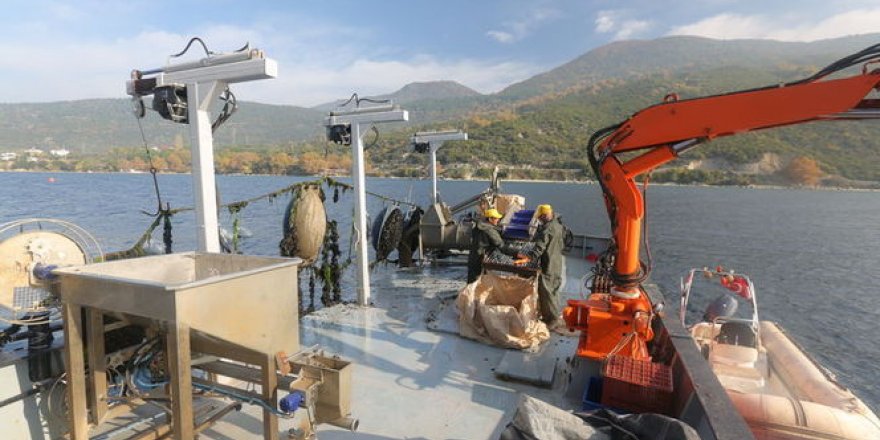 Yerli "Midye hasat ve ekim teknesi" inşa edilecek