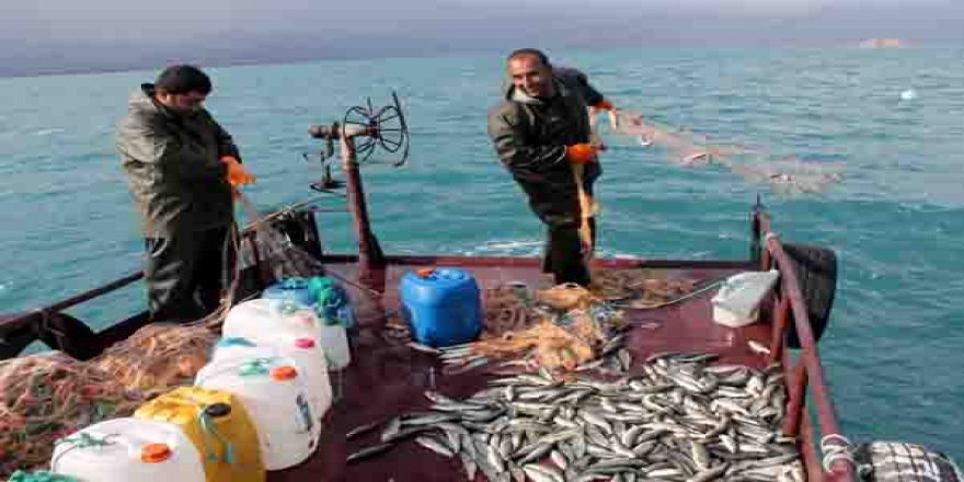 İnci kefali 14 bin insana ekmek kapısı oldu