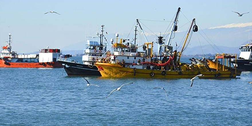 Abhazya Türk balıkçıların avlanma kotasını düşürdü