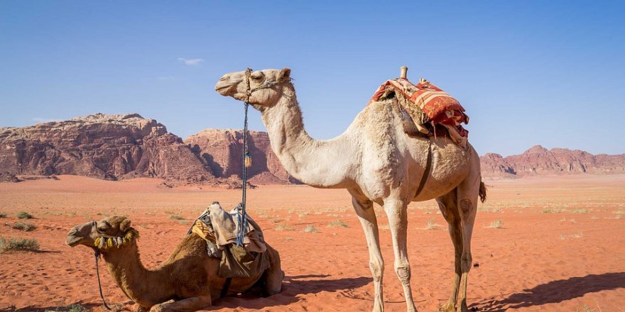 Bilim insanları: Dünya'nın dörtte biri çöl olabilir