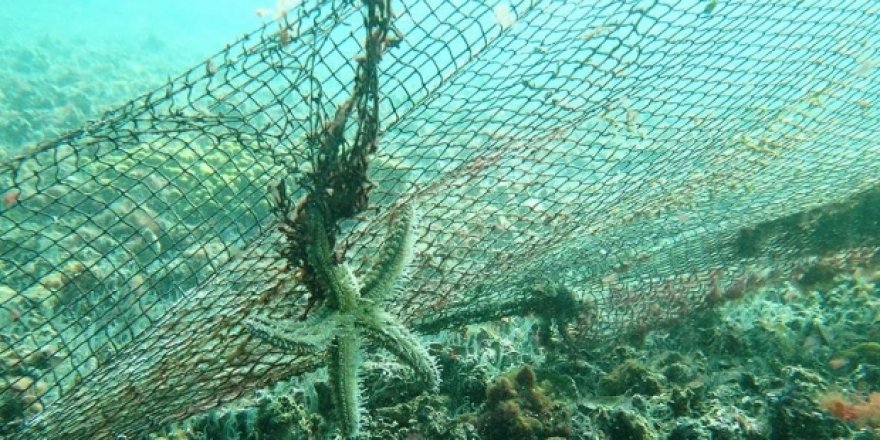 Denizden binlerce metrekare "Hayalet Ağ" çıkarıldı