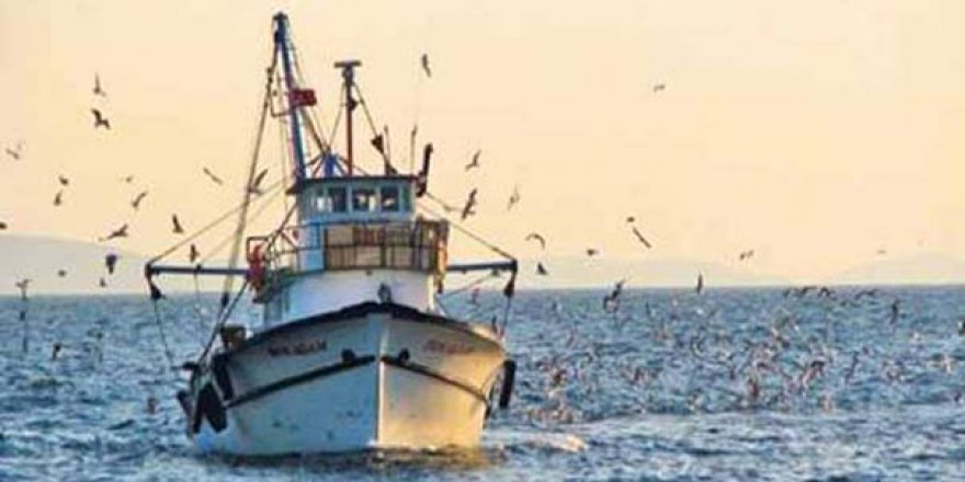 Sonunda Karadeniz’de balık tükendi