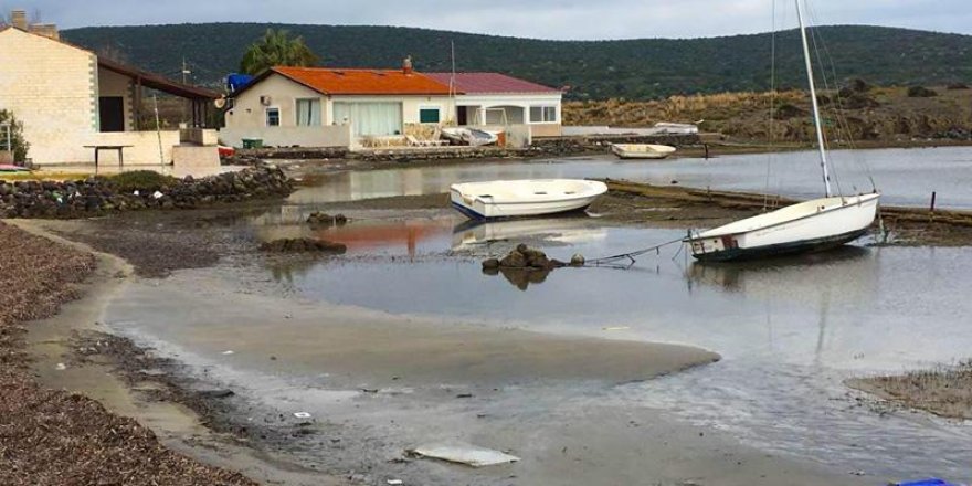 Egelileri tedirgin eden deniz çekilmesi