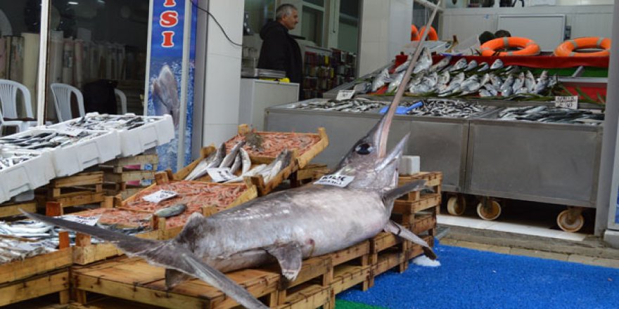 Marmara'da 2,5 metrelik kılıç balığı yakalandı