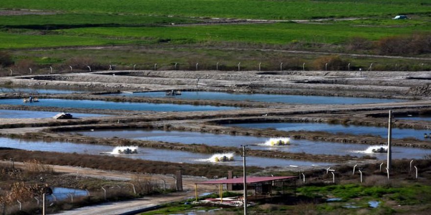 Adana’ya Su Ürünleri Organize Sanayi Bölgesi