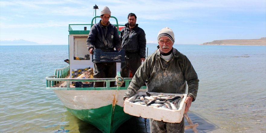 Van Gölü’nde ekmek mücadelesi