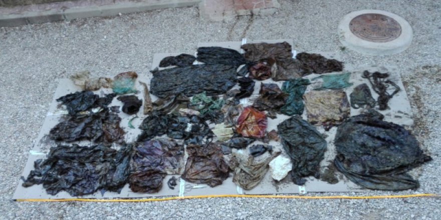 Balinanın midesinden 29 kilo plastik poşet çıktı