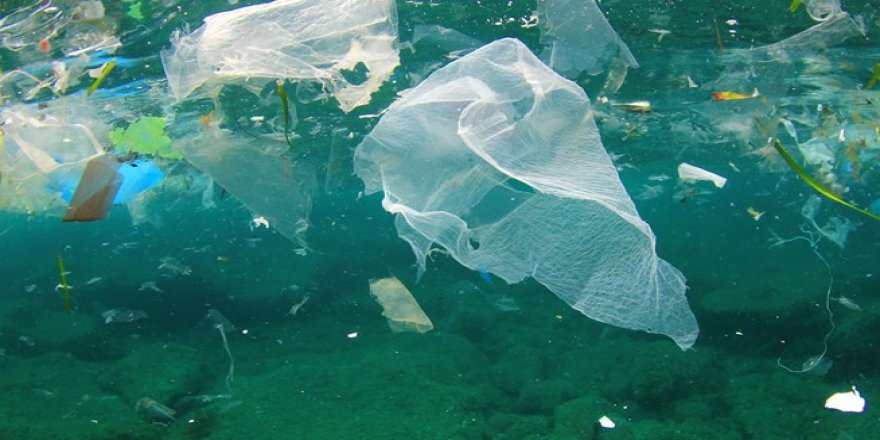 Geri dönüşümde plastik yiyen enzim dönemi