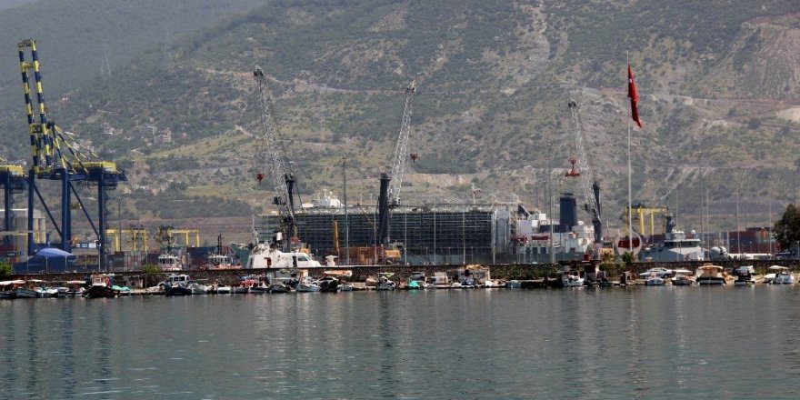 İthal anguslar İskenderun Limanı’na geldi