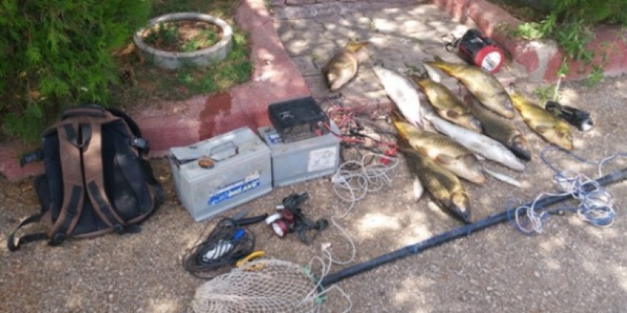 Elektroşokla balık avına 10 bin 644 lira ceza