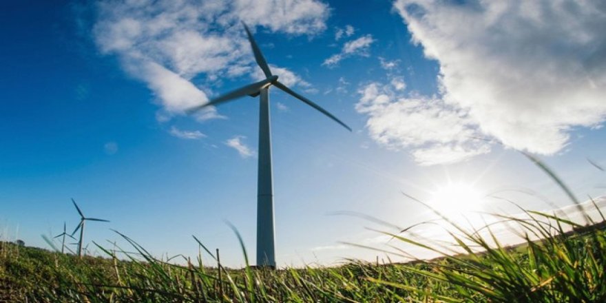 Borusan ile Vestas'tan yeni işbirliği