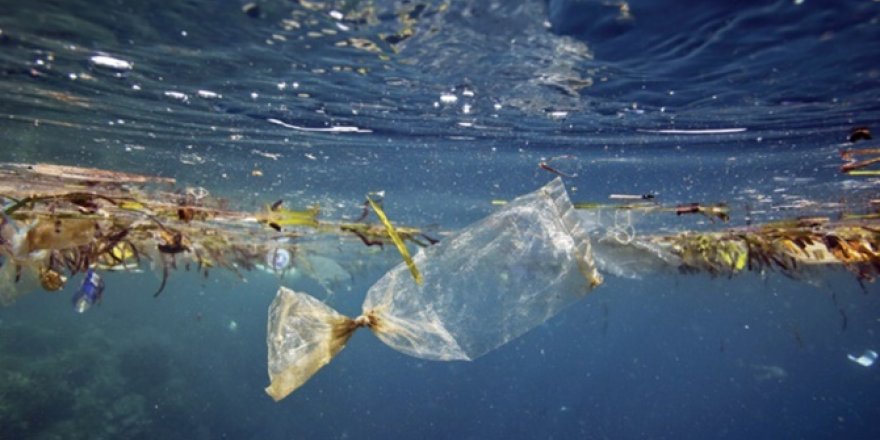 Kişi Başı Yılda 1 kg Plastiği Akdeniz’e Karıştırıyoruz