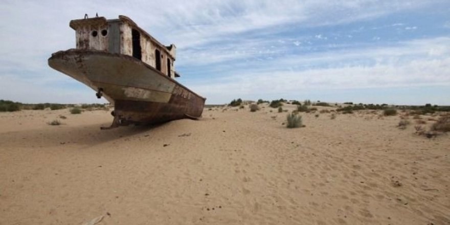 Aral Gölü 150 yıl sonra orman olacak