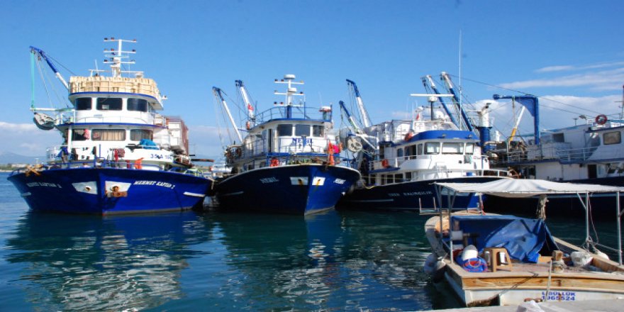 Ege Denizi'nden bereket fışkırdı