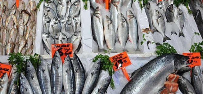 Balık fiyatları yüzde 80 arttı