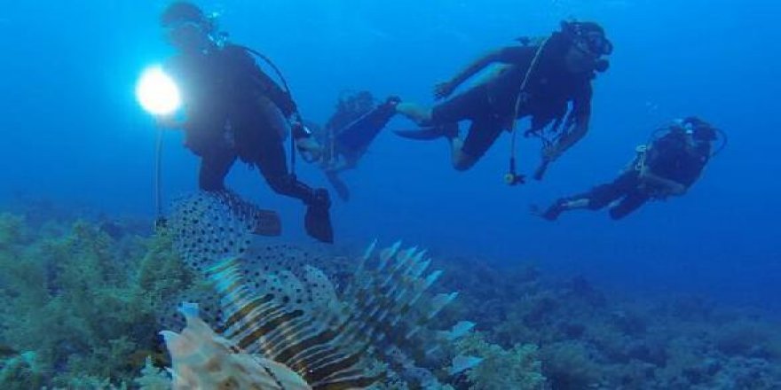 Kekova dalışın yeni adresi olma yolunda