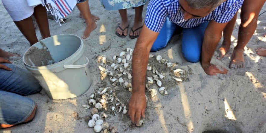 Çeşme’nin ilk carettaları denizle buluştu