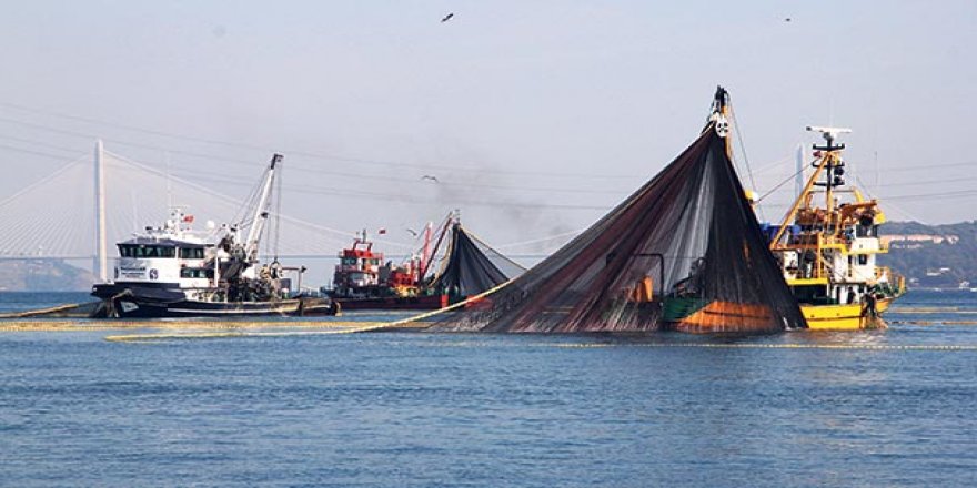 Balıkçılara Yunanistan uyarısı: O sulara girmeyin