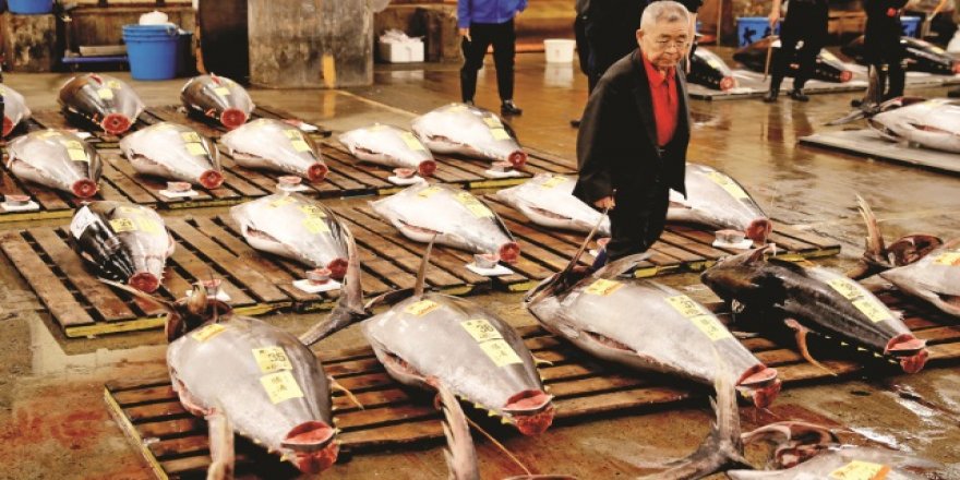 Dünyanın en  büyük balık pazarı taşındı