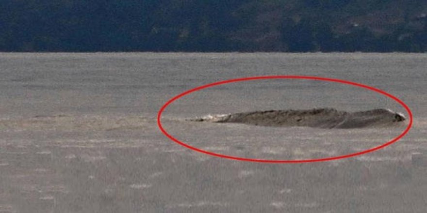 Kanada'nın Van Gölü Canavarı yine ortaya çıktı