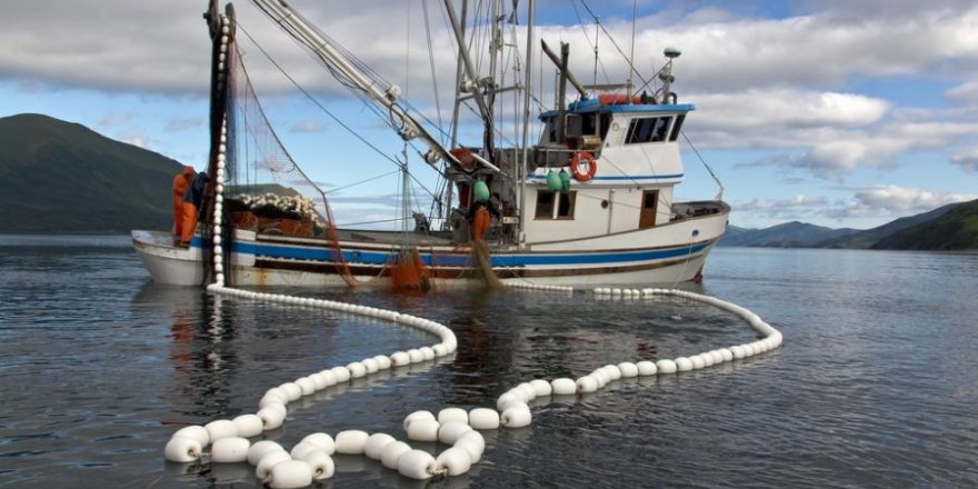 Balıkçının umudu Karadeniz'in soğumasına kaldı