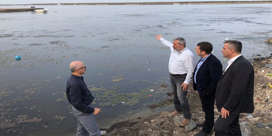 Kurupelit Yat Limanı’nda  ekolojik bozulma