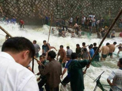 Çinliler dökülen balıklar için nöbet tuttu