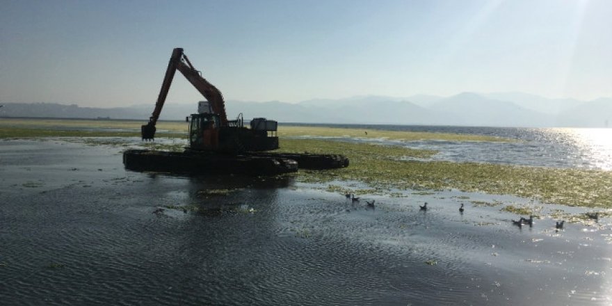 İzmir Körfezi'nde yosun temizleme çalışması