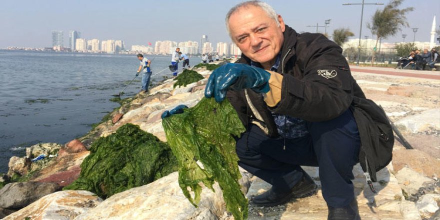 Prof. Dr. Büyükışık: Körfez’de riskli bir durum yok