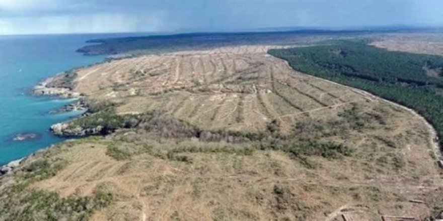 Japonya, Sinop nükleer santralinden vazgeçiyor