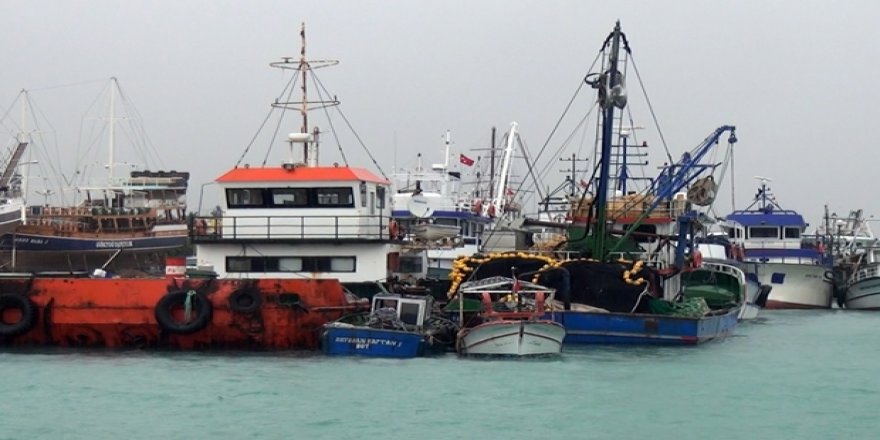 Karadeniz balıkçılığı iklim değişikliği tehdidi altında