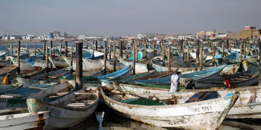 Moritanya en büyük balıkçı limanını açtı