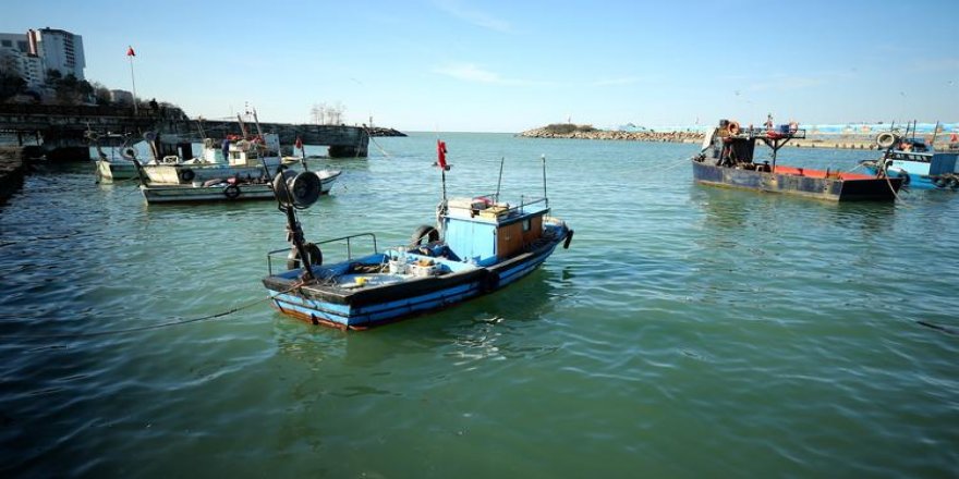 Balık rotasını Doğu Karadeniz'e çevirdi