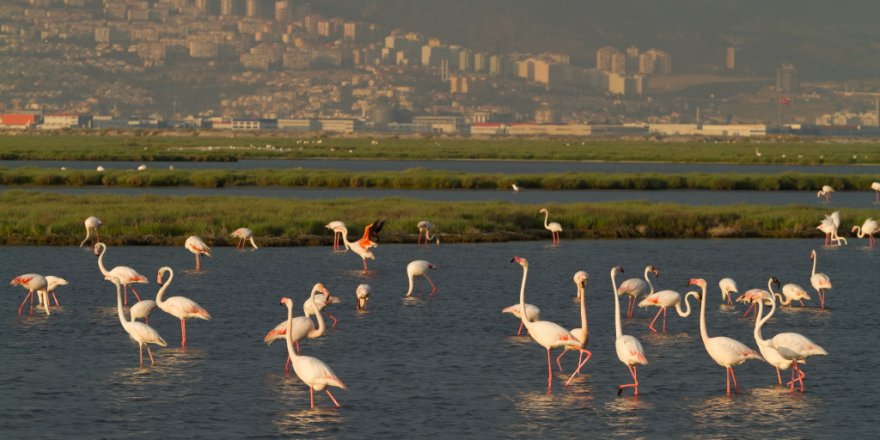 İzmir Körfez Geçişi Projesi'ne iptal kararı