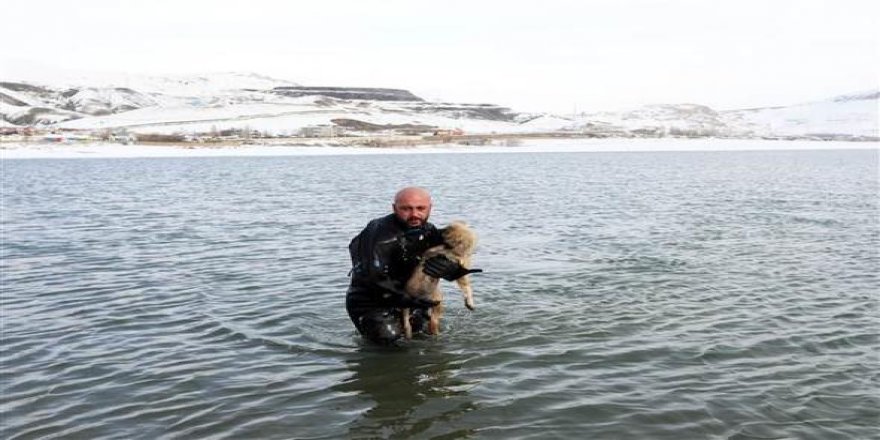 Buzları kırıp donmak üzere olan köpeği kurtardı