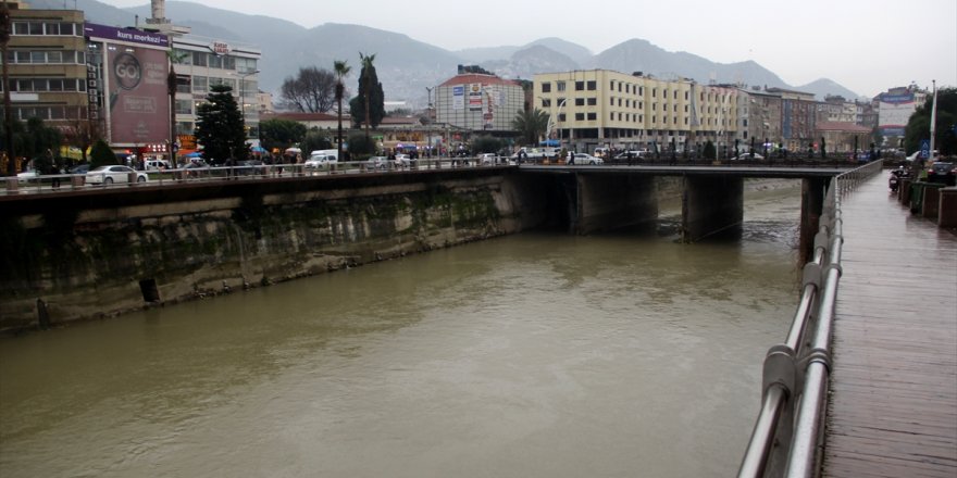 Asi Nehri'ndeki su sümbülleri temizlendi