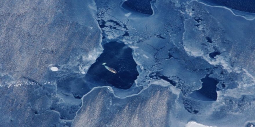 Buzullar eridi tonlarca metan gazını açığa çıktı