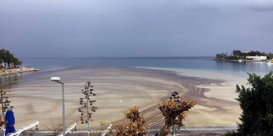 Datça'da denize sızan yakıt yayıldı