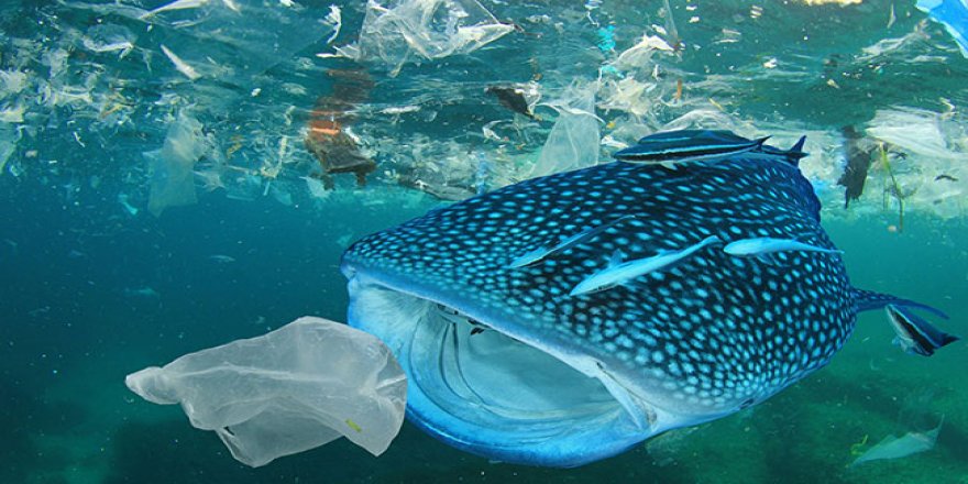 104 milyon ton plastik daha doğaya karışacak