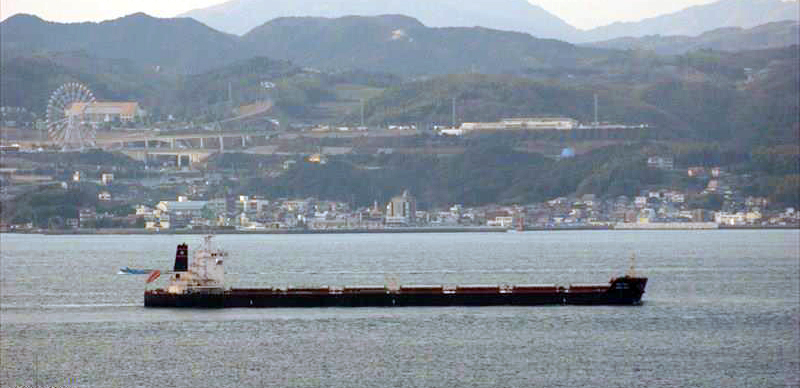 "Vishva Vijay" İskenderun Limanı'nda karaya oturdu