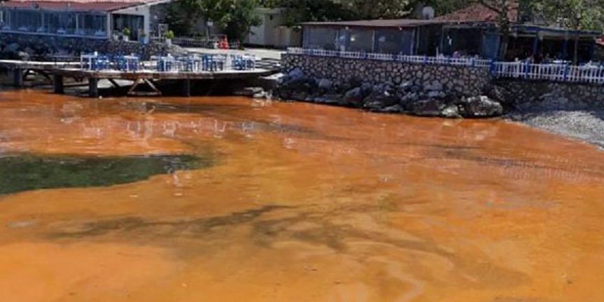 Mudanya’da deniz yüzeyinin rengi değişti