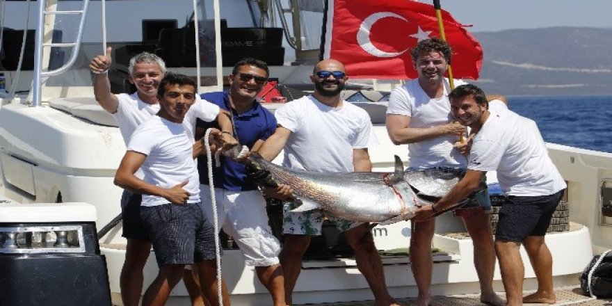 Didim’de açık deniz sportif balık avı yarışması