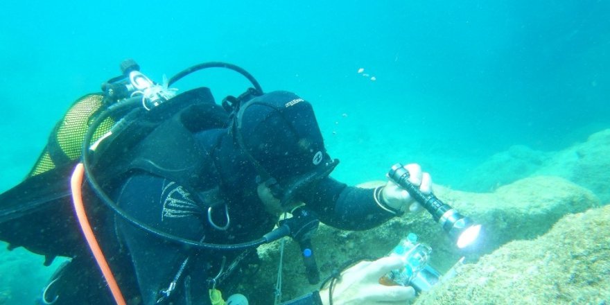 Antalya'nın deniz biyoçeşitliliği inceleniyor