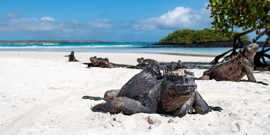 Ekvador, Galapagos'u ABD askerlerine açtı