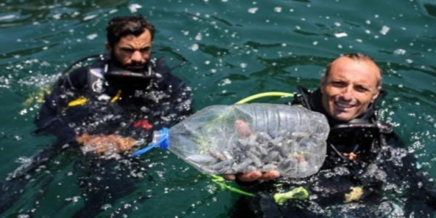 Antalya’da deniz dibinde kurşun tehdidi