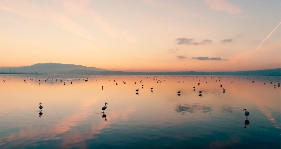 Gediz Deltası'na destek