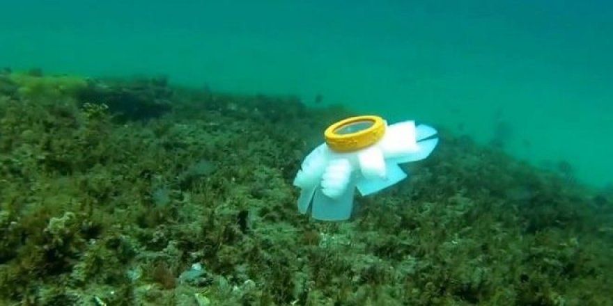 Denizanası robotu okyanusa açılacak