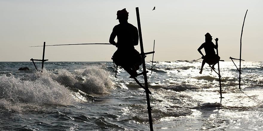 Sri Lanka'nın cambaz balıkçıları